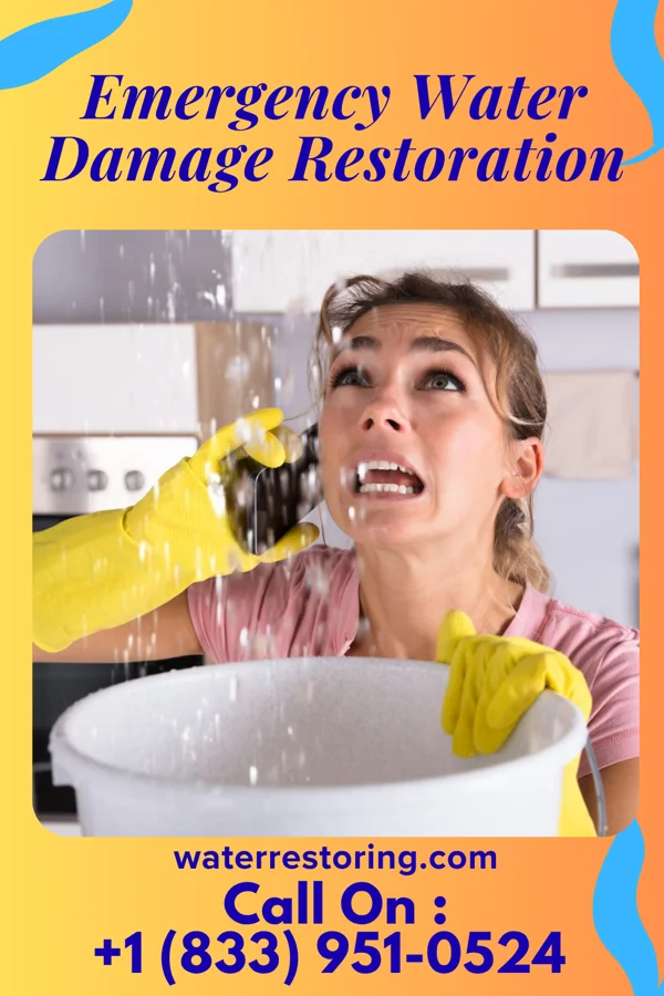 Emergency Water Damage Restoration in Millwood, WA