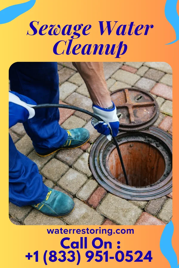 Sewage Water Cleanup in Millwood, WA